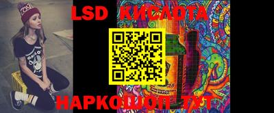 мдпв Кингисепп