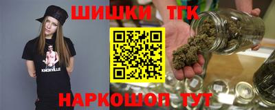 мдпв Кингисепп