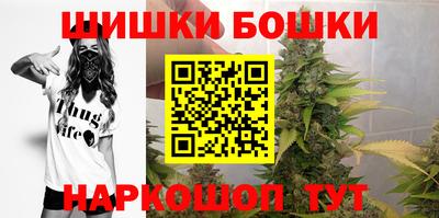 мдпв Кингисепп