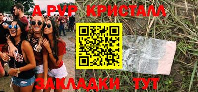 мдпв Кингисепп
