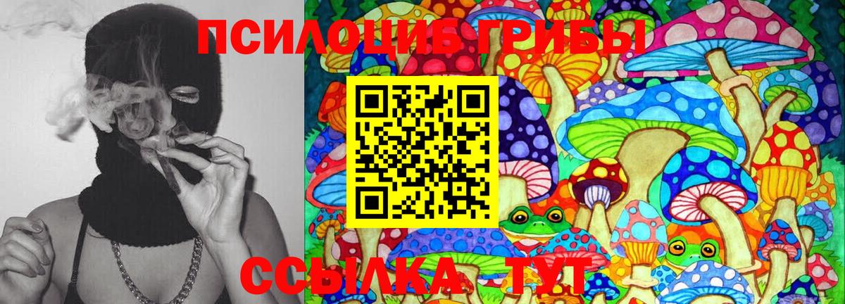Костомукша  Галлюциногенные грибы GOLDEN TEACHER  Вход с VPN 